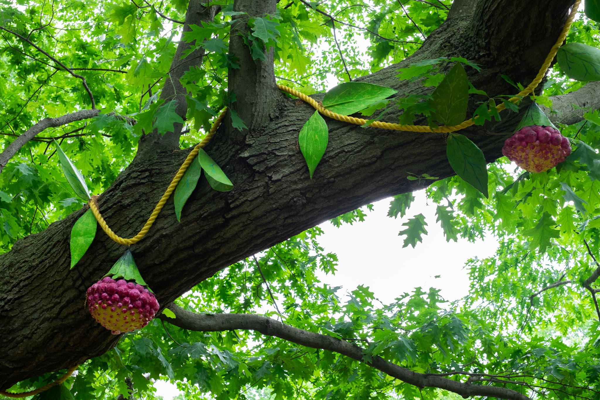 Louise Farnell, Faux Fleurs. Photo by Mana Parker.